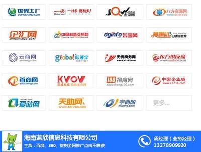 海口網(wǎng)絡(luò)推廣新思路 聚焦技術(shù)推廣服務(wù)與藍(lán)欣品牌賦能
