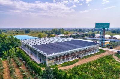 科技創(chuàng)新引領(lǐng)農(nóng)業(yè)發(fā)展 西安高新區(qū)農(nóng)業(yè)企業(yè)榮膺陜西省科技進(jìn)步二等獎(jiǎng)